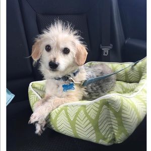 Meet your Posher, Marissa